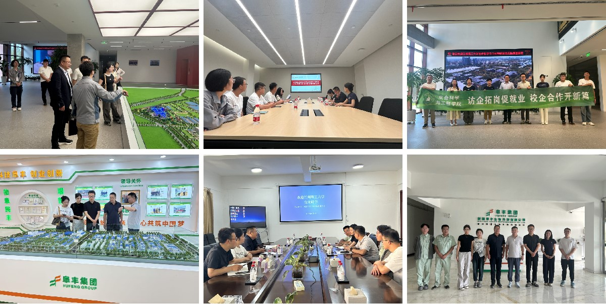 公司赴新疆开展访企拓岗专项行动