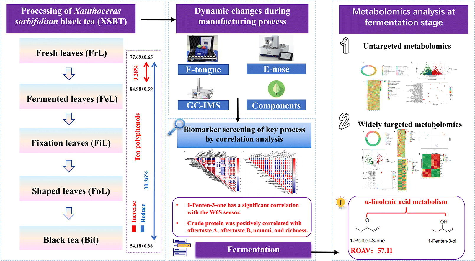 3377体育网站网页团队在文冠果红茶加工...
