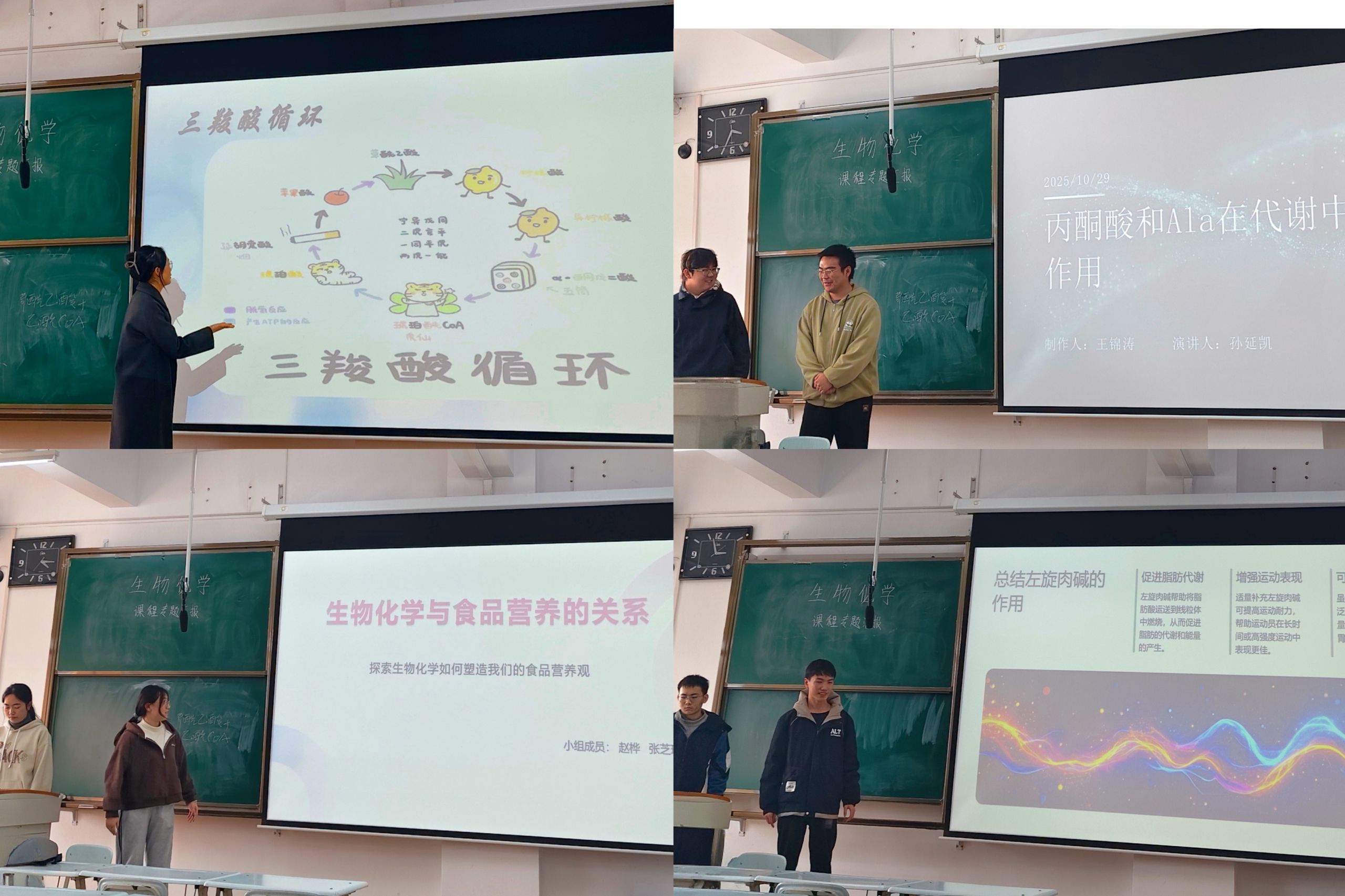 探索生化奥秘，拓展食品视野：食品科学与工程班开展生物化学专题演讲活动
