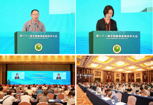 3377体育教师参加第二十二届全国植物基因组学大会